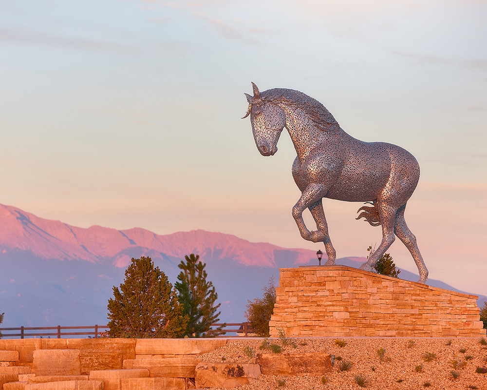 Percheron